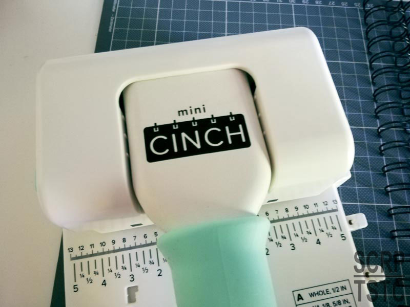 Cinch